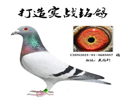Ӣ˹܊֮HN
