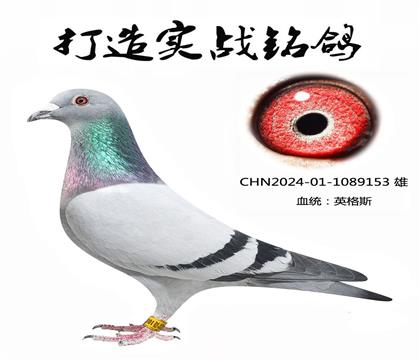 L(fng)䌦(du)Ѫϵ