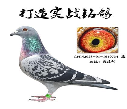 Ӣ˹DѪϵN