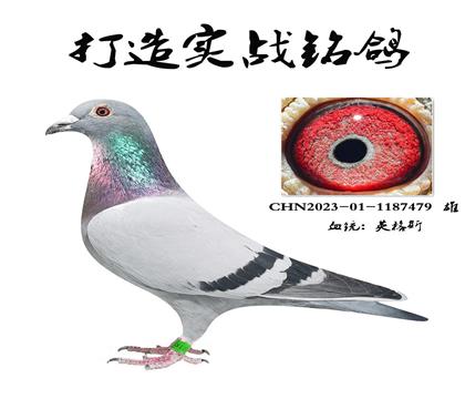 L(fng)䌦(du)Ѫϵ