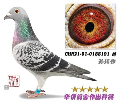 9̖(ho)--ϵXղɭt019ϵ-0188191-