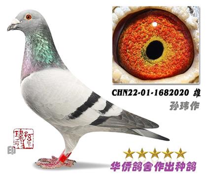7̖(ho)--ղɭ019ѪN-1682020--S-