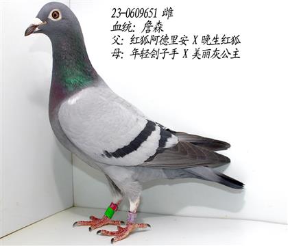 ղɭ