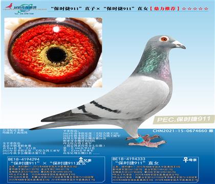r911ֱӡr911ֱŮ