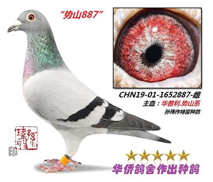 4̖(ho)--A(sh)ɽϵ-1652887-