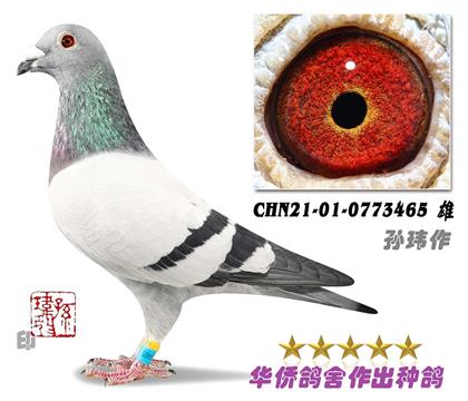 3̖(ho)--Aϵ0773465-
