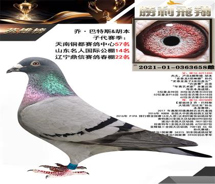 血統(tǒng):“喬·巴特斯X胡本”