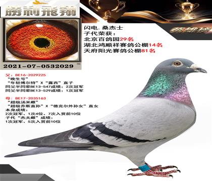 閃電.桑杰士 子代榮獲: 北京百鴿園29名