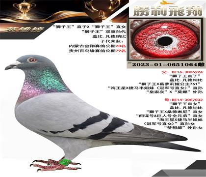 蓋比.凡德納比 “獅子王”直子X“獅子王”直女