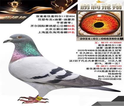范登布克x迪霍-迪蔽蘇 雙重通佳基特爾I世804