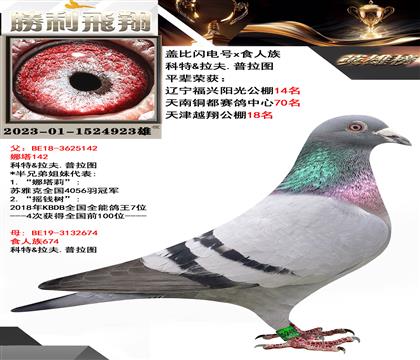 蓋比閃電號x食人族