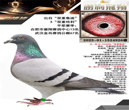 出自“雙重魯?shù)稀盭“雙重哈利”