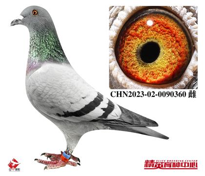W(lin)098HѪ360