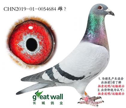 L(zhng)ǣL(zhng)Ī·O684