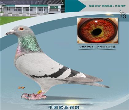 ɣʿǹ̖(ho)H612x169H