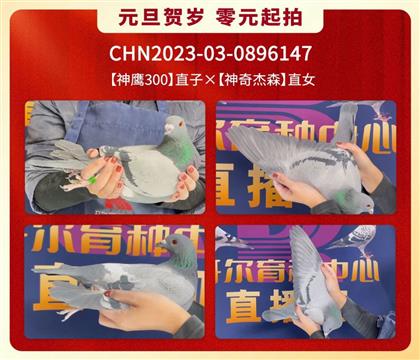 _(ki)ƿ147