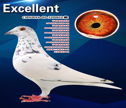 γɿ