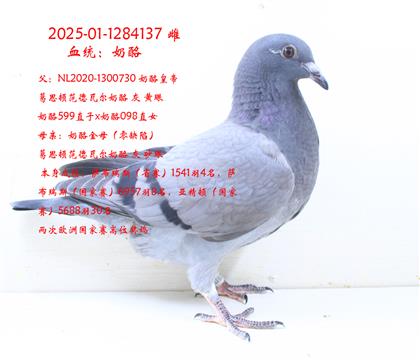 137