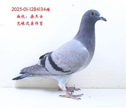ɣʿ134