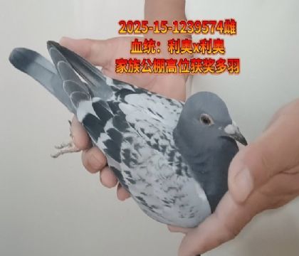 利奧x利奧