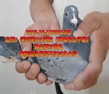 保時(shí)捷911神鷹號(hào)全平輩