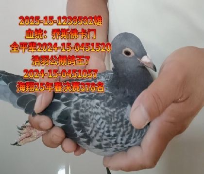 喬斯佛卡門(mén)x喬斯佛卡門(mén)
