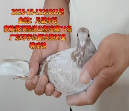 迪克范登布克