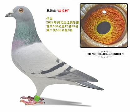 ĸH