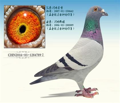 ĸH