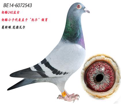 ĸH
