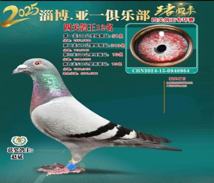 һh(hun)12