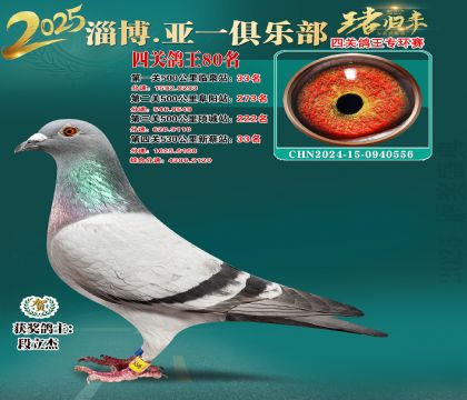 һh(hun)80