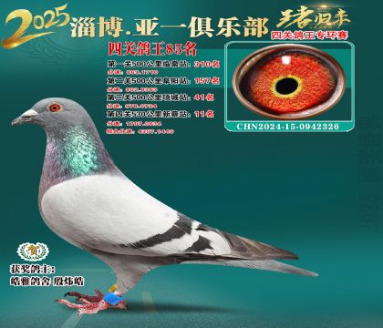 һh(hun)85