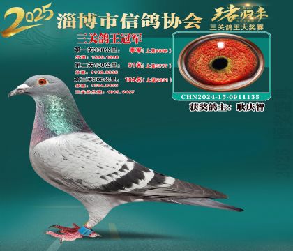 淄博鴿協(xié)普賽冠軍