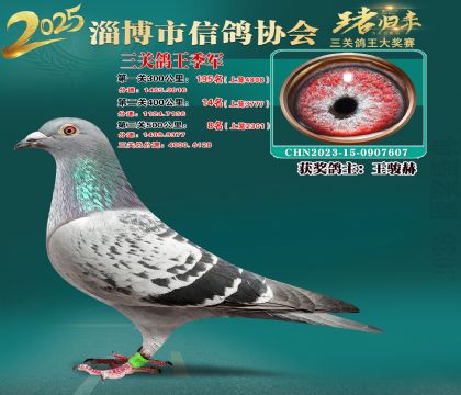 淄博鴿協(xié)普賽季軍