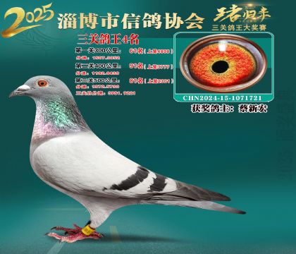 淄博鴿協(xié)普賽4名
