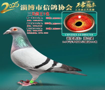 淄博鴿協(xié)普賽7名