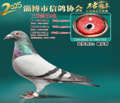 淄博鴿協(xié)普賽9名