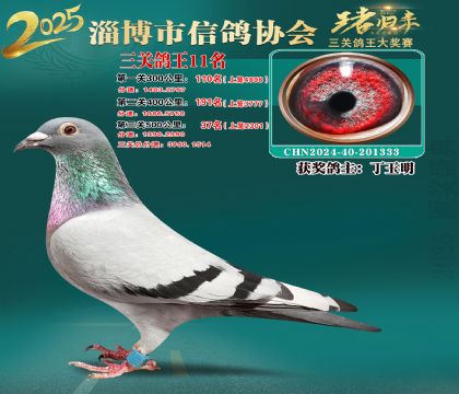 淄博鴿協(xié)普賽11名