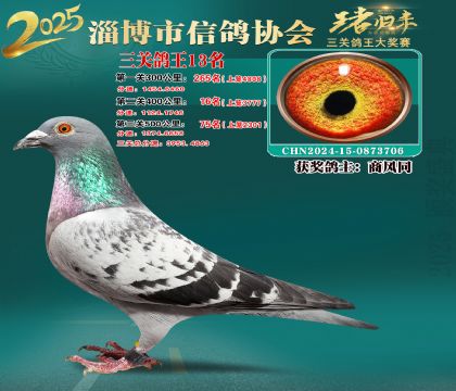淄博鴿協(xié)普賽13名