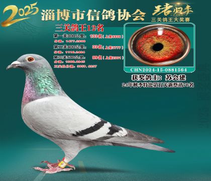 淄博鴿協(xié)普賽12名