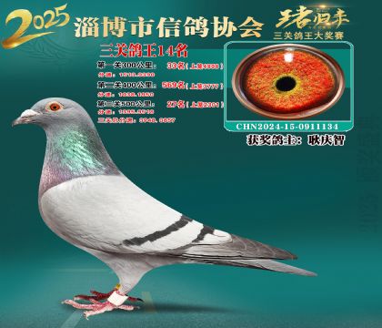 淄博鴿協(xié)普賽14名