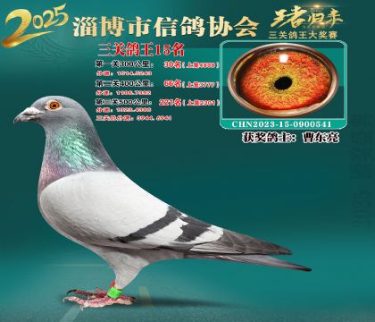 淄博鴿協(xié)普賽15名