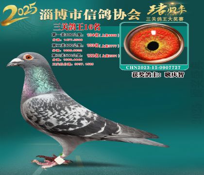 淄博鴿協(xié)普賽16名
