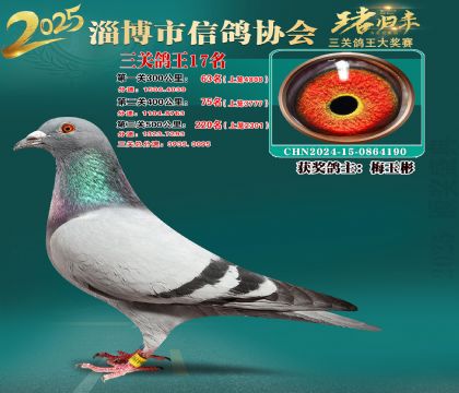 淄博鴿協(xié)普賽17名