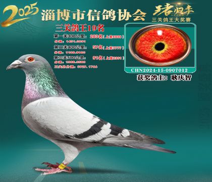 淄博鴿協(xié)普賽19名