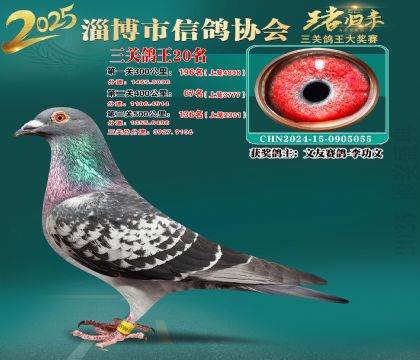 淄博鴿協(xié)普賽20名