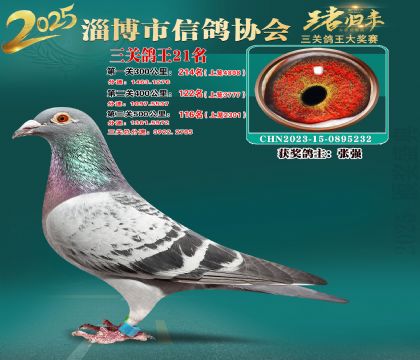 淄博鴿協(xié)普賽21名