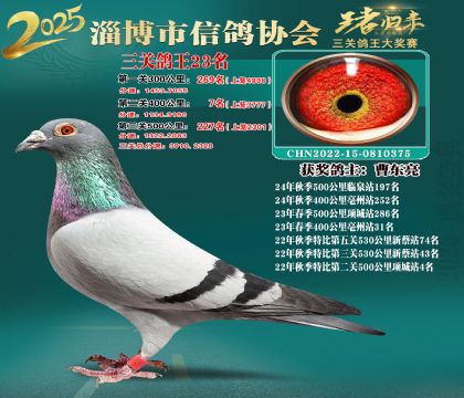 淄博鴿協(xié)普賽23名
