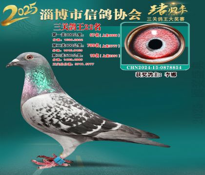 淄博鴿協(xié)普賽22名